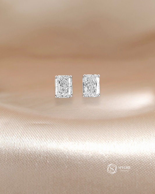 2in1 Radiant Mix Fancy Drop Earring