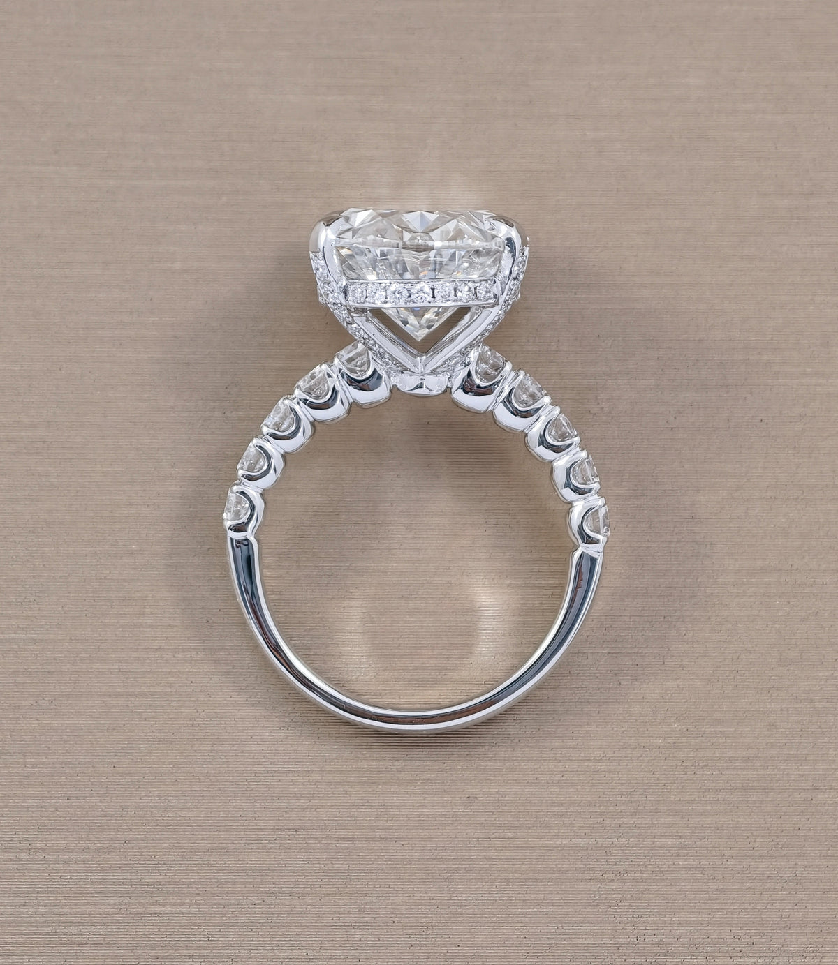 10 Carat Oval Lab Grown Diamond Engagement Ring Full Diamond Basket Back View