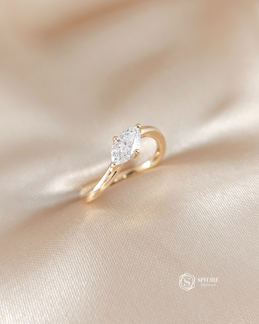 Marquise Curve