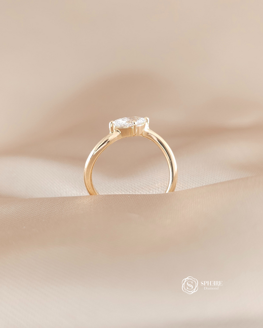 Marquise Curve