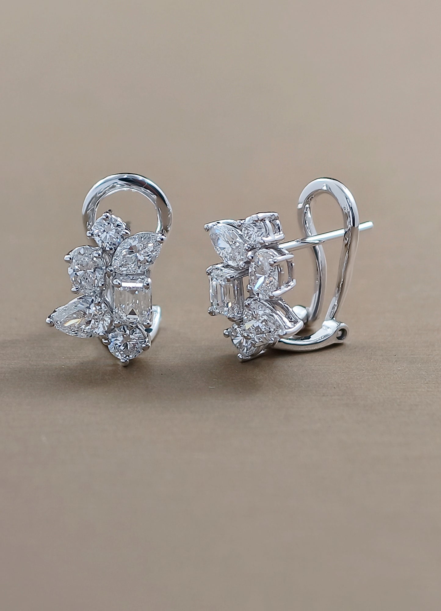 Asteria Fancy  Earring