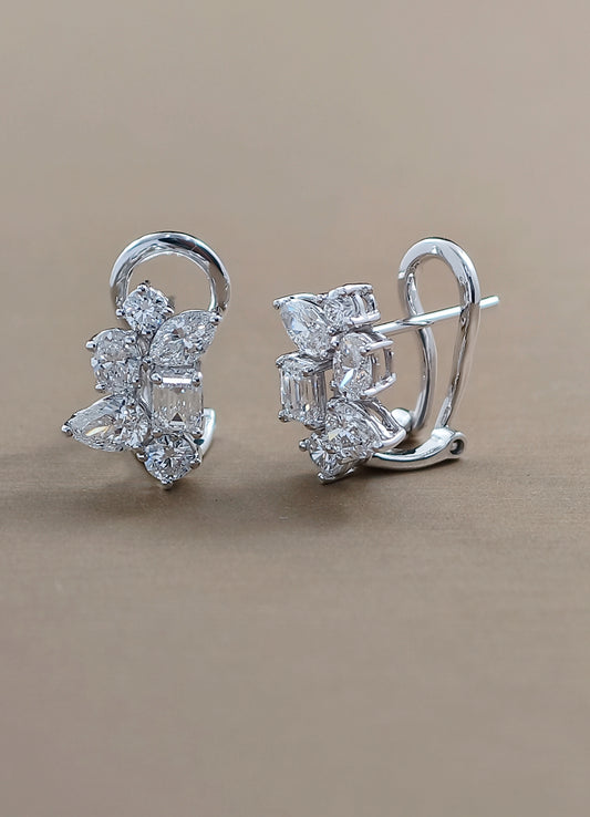 Asteria Fancy  Earring